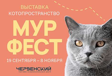 В ТРЦ «ЧЕРВЕНСКИЙ» открылась выставка кошек «МУРФЕСТ»