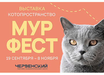 В ТРЦ «ЧЕРВЕНСКИЙ» открылась выставка кошек «МУРФЕСТ»